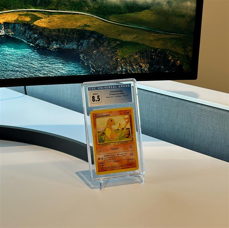 BCW Small Stand